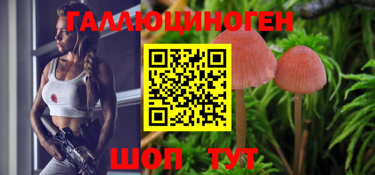 Нягань  Галлюциногенные грибы GOLDEN TEACHER  Галлюциногенные грибы прущие грибы  Вход с VPN 